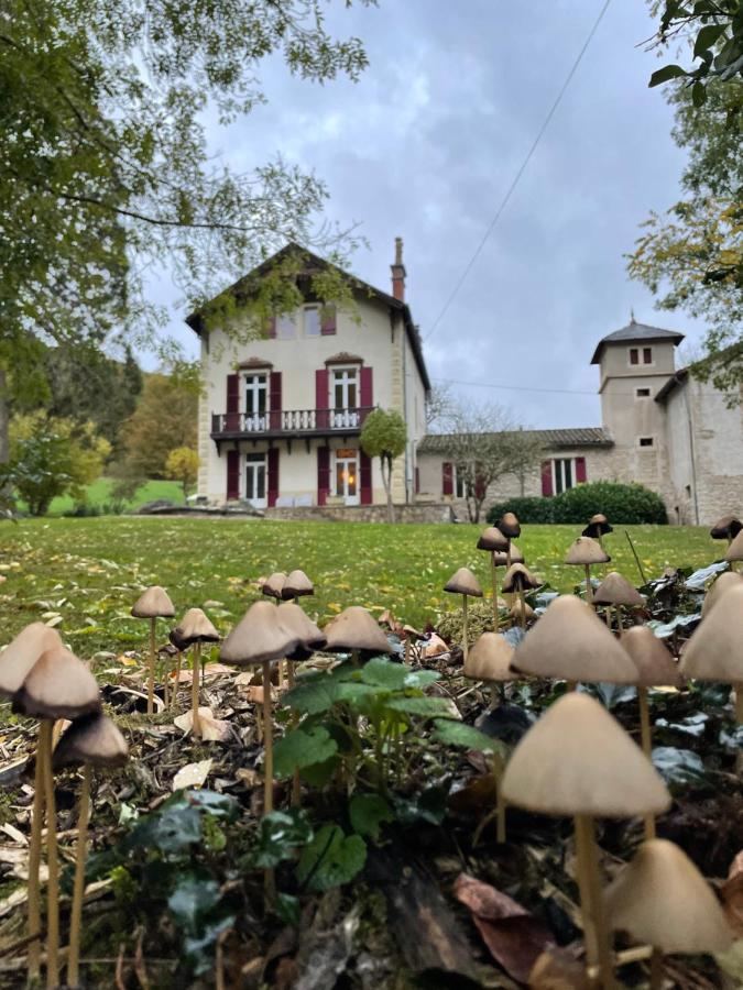 Domaine La Rose Bed & Breakfast Caylus Exterior photo